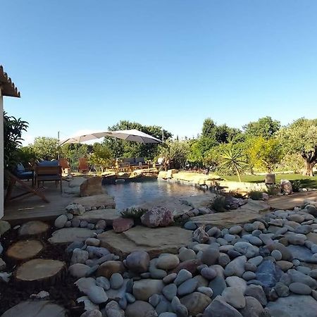 Une Oasis Au Pays De Cezanne Aix-en-Provence Eksteriør bilde