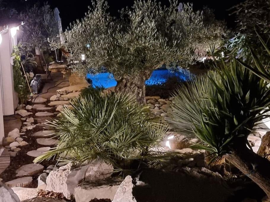 Une Oasis Au Pays De Cezanne Aix-en-Provence Eksteriør bilde